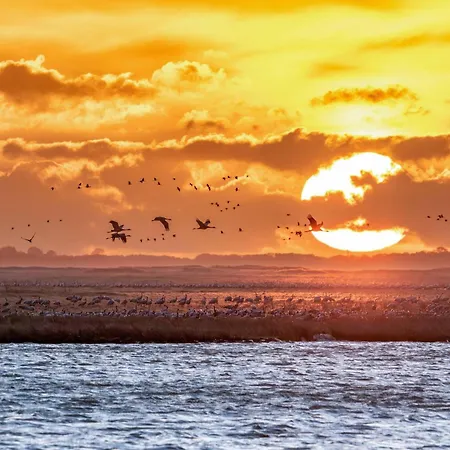 Storchenruh- Familienfreundliches Mit Terrasse & Direkter Golfplatzlage アパート