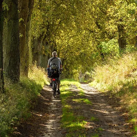 Storchenruh- Familienfreundliches Mit Terrasse & Direkter Golfplatzlage Göhren-Lebbin